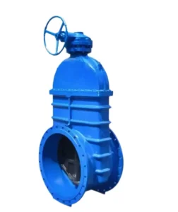 Standard High Pressure Large Diameter Water Seal Gate Valve