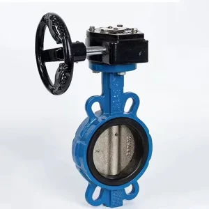 Standard Lever Worm Gear Operated Manual Ductile Iron Stainless Steel Wafer Flanged Lug Butterfly Valve DN125 Oil Water Gas Acid