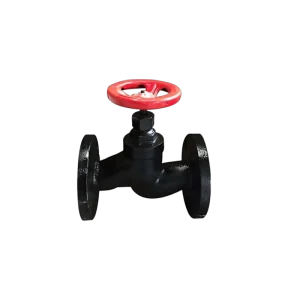 Steam Globe Valve