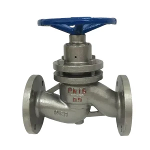 Steam Plunger Valve High temperature Steam Boiler Flange Carbon Steel Globe Valve Cast Steel DN50 25 40 65