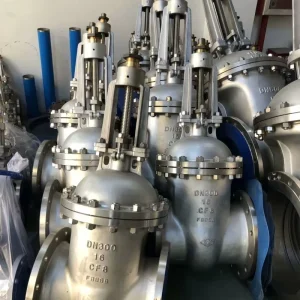 Super Duplex 2507 Gate Valve Parallel Slide API 600 NACE MR0103 Desalination Plant