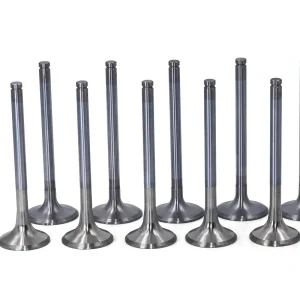 Supply VG1540050014 Exhaust Valve