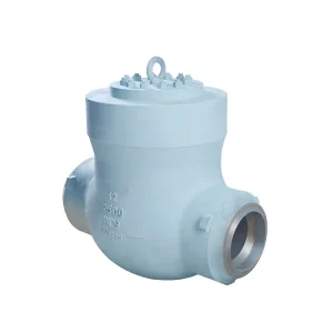Support Customization 12 Inch 2500lbc Api High Pressure Check Valve Body