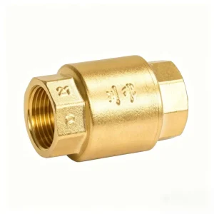 Swing Check Valve Water Control Brass Body Vertical Installation OEM Available PN16 for Water Supply & Drainage