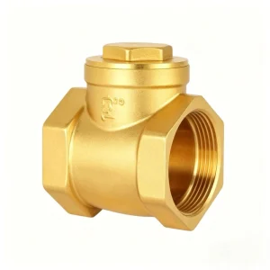 Swing Check Valve Water Control Brass Body Vertical Installation OEM Available PN16 for Water Supply and Drainage