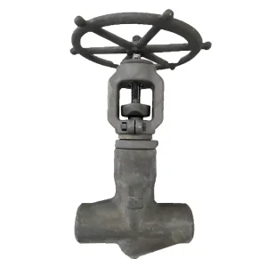 T Pattern Stainless Steel High Performance Service Proven Technology Designed Critical Service Globe Valve
