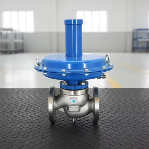T961 Series Self Operated Actuated Micro Pressure Control Valve Regulating Valve