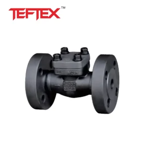 TEFTEX Brand Forged Steel Check Valve High Temperature High Pressure Resistant Water Vapor Oil Gas Base Acid High Quality