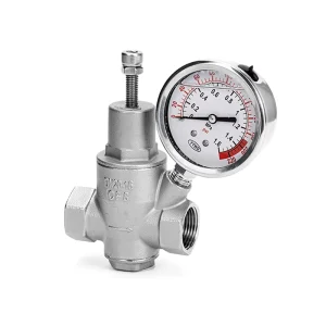 TENGFENG 304 Stainless Steel Piston Type Pressure Reducing Valve Adjustable Branch Pipe Internal Threaded Water Faucet Y12JYF