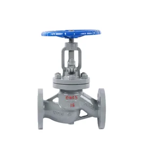 TF High Temperature High Pressure API ANSI 150LB 304 316 JIS 10K 1.6 6.4mpa WCB Manual Flanged Globe Valve