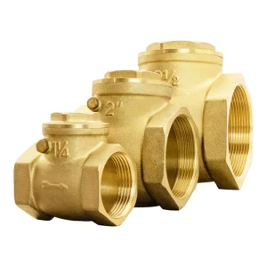 TMOK One Stop Solution Brass Female Thread One Way Flap Swing Type Non Return Check Valve for Water DN15 50 PN16