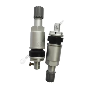 TPMS-33 Valve Stem for CHANGAN Cars Special Valve for Tire Pressure Sensor