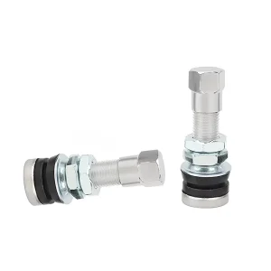 TR161 38 Snap In Rubber Tire Valve Stem Tubeless Air Valve for Passenger Car Trailer OEM Manufacturer