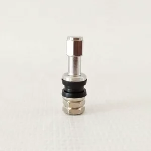 TR43E V 4 Bolt in Tubeless Wheel Tire Valve Stems with Dust Caps Universal Stainless Steel Explosion Proof Valve Stem