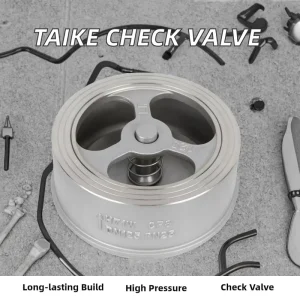 Taike Valve Cast Steel Stainless Steel Wafer Non Return Check Valve Water Manual High Temperature High Pressure