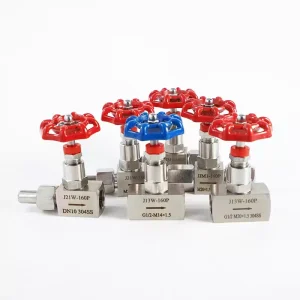 Technical Support Needle Valve Water 1/4 Inch Customizable Flow Needle Valve for Nuclear Industry