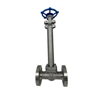 Threaded Gate Valve 316 Stainless Steel NPT BSP Female End 1 4 2 Inch for Instrument Line