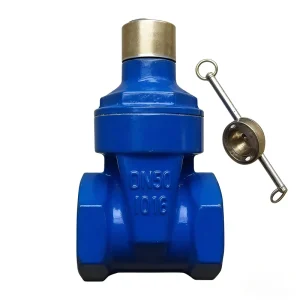 Threaded Lockable Resilient Seated Gate Valve Anti-Theft Screw End Soft Seal Valve for Water Supply