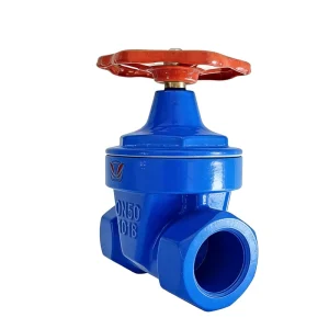 Threaded Resilient Seated Gate Valve Ductile Iron Screw End Soft Seal Valve for Water Supply Systems