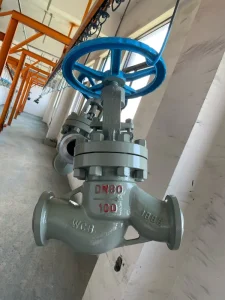 Threaded Stainless Steel Globe Valve 304 NPT End Class 150 HVAC Water System Flow Throttling
