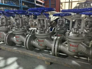 Threaded Stainless Steel Globe Valve 316L FNPT Connection Class 600 High Pressure Hydraulic Bypass System