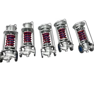 Three Piece Body Design for Easy Trim Replacement Stainless Steel Control Valve