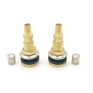 Tire Valves Brass Tire Valve Stem Core TRCH3 Factory Direct Supply for Truck and Agricultural Tractors Auto Parts