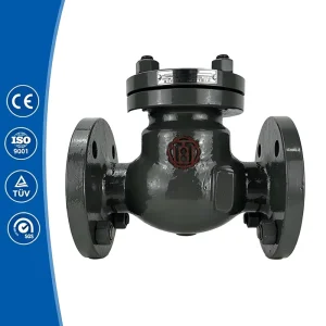 UBT H44H 16C Ductile Iron Flange Check Valve DN15 300 Manual Normal Temperature ISO CE Certified Municipal Water Supply