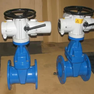 Underground Rod Manual Gate Valve Acid Resistant Flexible Sluice Valve with DN50-DN300 Port Size and Medium Temperature