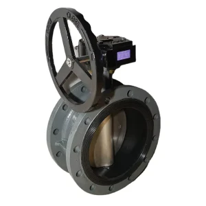 Valve DF810 Carbon Steel Series Flanged Type Soft Sealing Center Lined Worm Wheel Butterfly Valve Manual