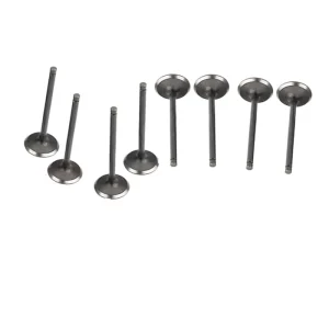 Valve Set for Xinchai Diesel Engine A490BPG C490BPG Engine Parts Intake Valve and Exhausted Valve