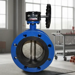 Valves DF810 Ductile Iron Series Flanged Type Soft Sealing Center Lined Worm Wheel Butterfly Valve