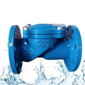 Valvula Manual Safety Rubber Wrap Disc Flap Check Valves Design for Water