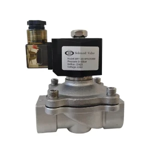 Various Sizes Stainless Steel 304 316 24V 12V Normally Close NPT BSPT Threaded SS Solenoid Valve