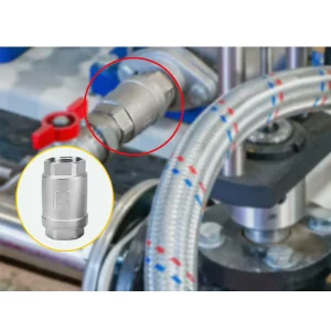 Vertical Spring Check Valve 304 Stainless Steel DN15 20 One way No Return Horizontal Vertical Water Stop Valve for Wells Pumps
