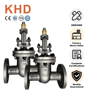 WCB DN50-16 Manual Operated Gate Valve Carbon Steel 425 for Petrochemical and Pharmaceutical Industries
