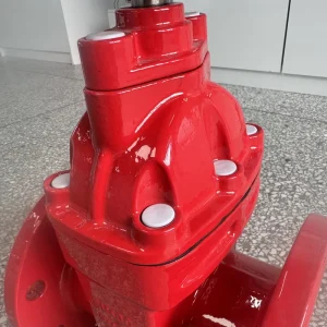 WCB Flange End Valve with Non Rising Stem and EPDM Rubber Soft Seat Gate Valve for Manual PN16 Z45X in Aqueous Media