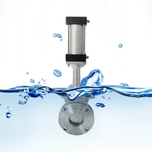 WEIZIDOM Multi Standard Body Soft Sealed Movable Seat Butterfly Valve Price