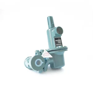 WF627-15 DN15 Series Pneumatic LPG Pressure Reducing Valve 1/2 in Outlet