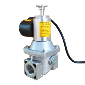WFS A25 DN25 Threaded Connection Aluminum Alloy LPG Emergency Shutoff Solenoid Gas Valve IP65 Rated CE Certified 220V