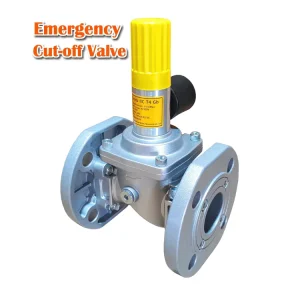 WFS A50 F DN50 2inch Gravity Casting Flanged Emergency Shutoff Solenoid Gas Valve IP65 Rated CE Certified Aluminum Alloy