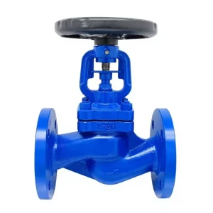 WJ41H-16C Bellows Globe Valve, Stainless Steel Flange, High Temperature Steam and Thermal Oil, DN50