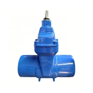 WRAS CE Blue Epoxy Coating Ductile Iron Spigot End Gate Valve