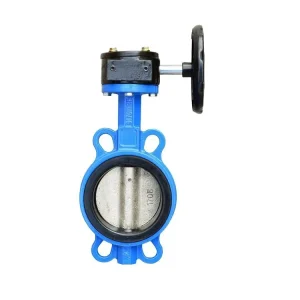 Wafer Butterfly Valve D371X 16Q Ductile Iron Body Centerline Design Soft Rubber Seal Manual Worm Gear Operation Manufacturer