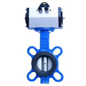 Wafer Butterfly Valve GGG50 EPDM Seat DN50 DN300 PN10 PN16 for Water and Wastewater System