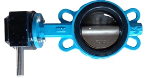 Wafer Resilient Butterfly DI Valve