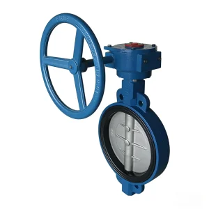 Wafer Type Butterfly Valve Ductile Iron Gear Operated Soft Seal Valve for Water Supply DN50 DN300 PN16