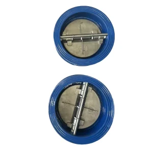 Wafer Type Check Valve for Water Pipeline