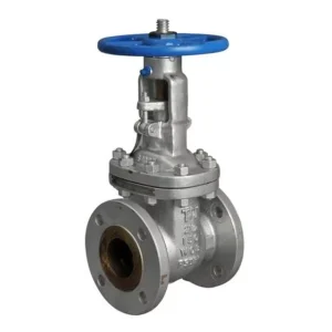 Wafer Type Stainless Steel Gate Valve with Cast Iron Seat