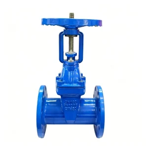 Wanlian Z41X 16Q DIN Standard DN150 PN16 Manual Flanged Rising Stem Soft Seal Cast Iron Gate Valve Medium Temperature
